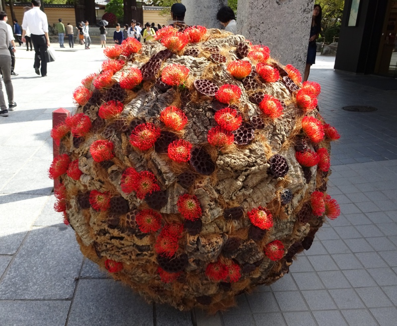 ニコライ・バーグマン in 太宰府天満宮: うめらぽ