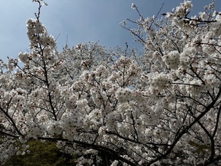 IMG_6161.JPG