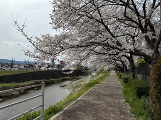 IMG_6162.JPG