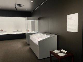IMG_6203.JPG
