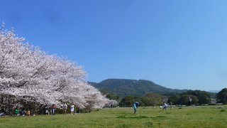 P1130510.JPG
