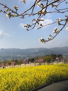 image2.jpg