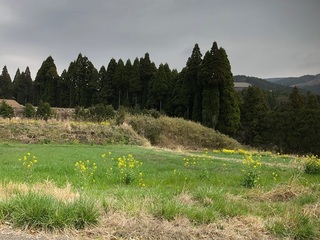 image3.jpg