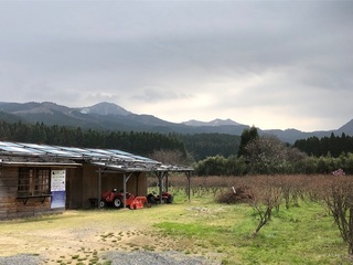 image4.jpg