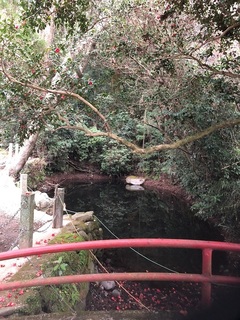 image6.jpg