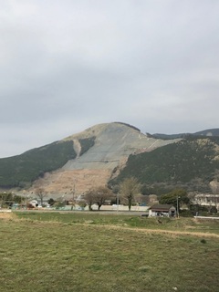 image8.jpg
